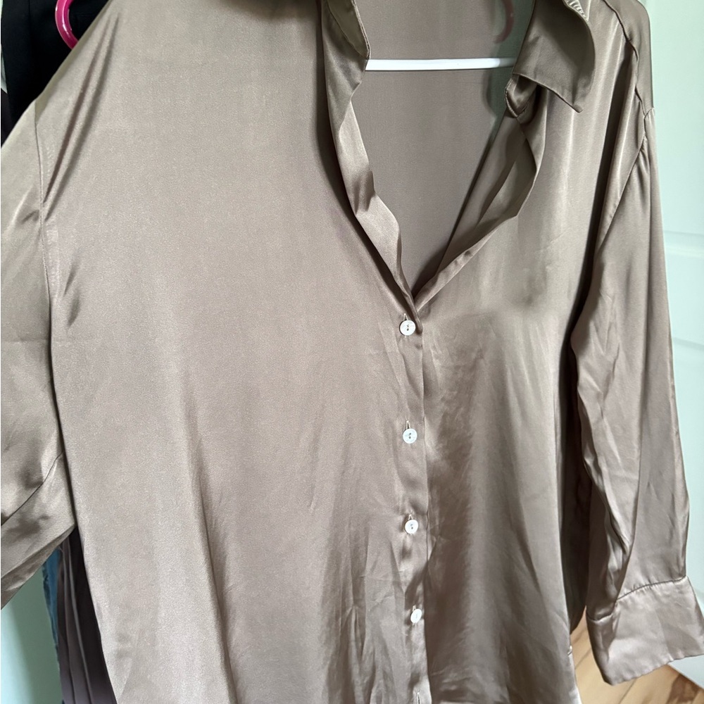 Zara Satin Beige Button Down
